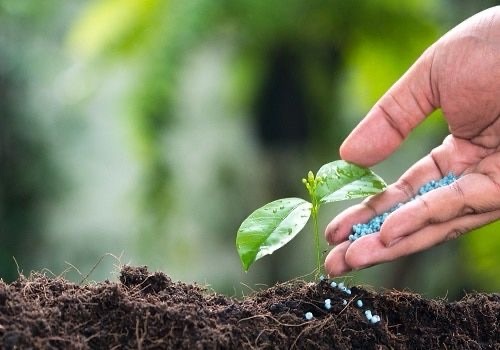 Biostimulants in Agriculture: Natural Growth Enhancers for Sustainable Agriculture