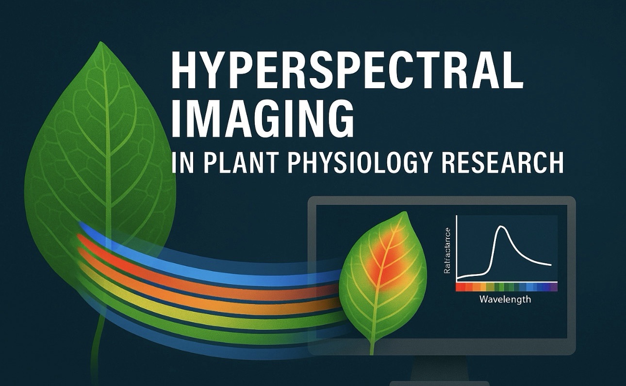 Hyperspectral Imaging in Plant Physiology Research