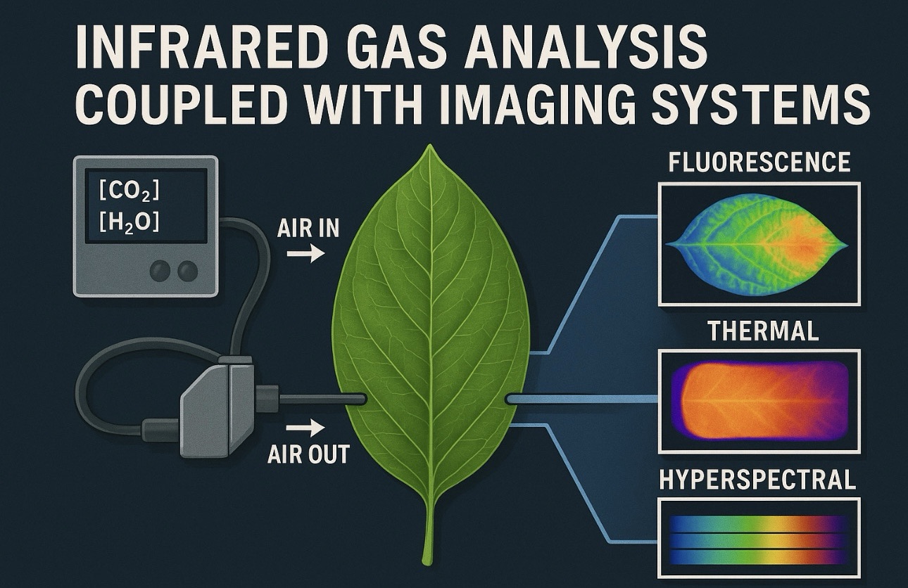 Infrared Gas Analysis Coupled with Imaging Systems